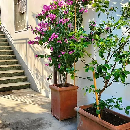 Casa Vintage